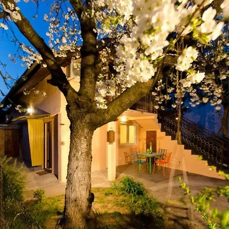Apartment Cherry Tree Art House